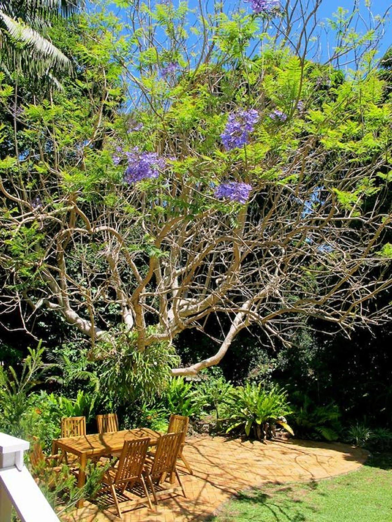 Beachcomber Lodge Lord Howe Island Екстериор снимка
